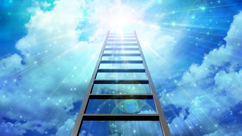 بالا رفتن از نردبان موفقیت ممکن است، فقط کافیست بخواهید
