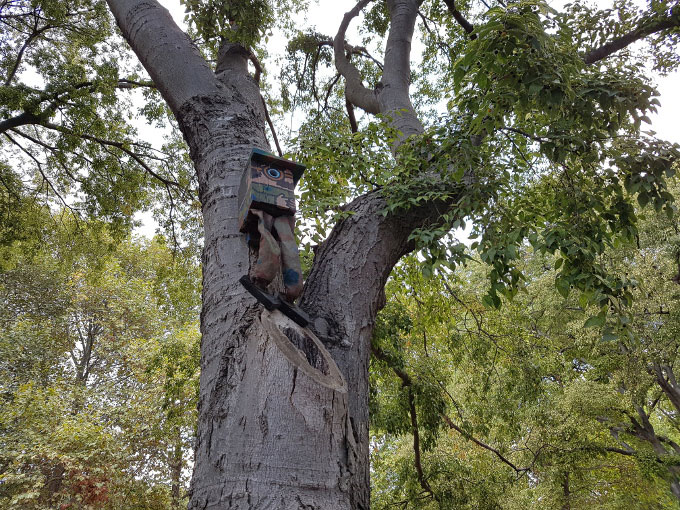 خانه پرنده در بالای درخت گلکسی اس 7 اج