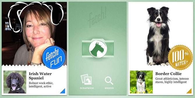 microsoft-apps-what-dog-fetch