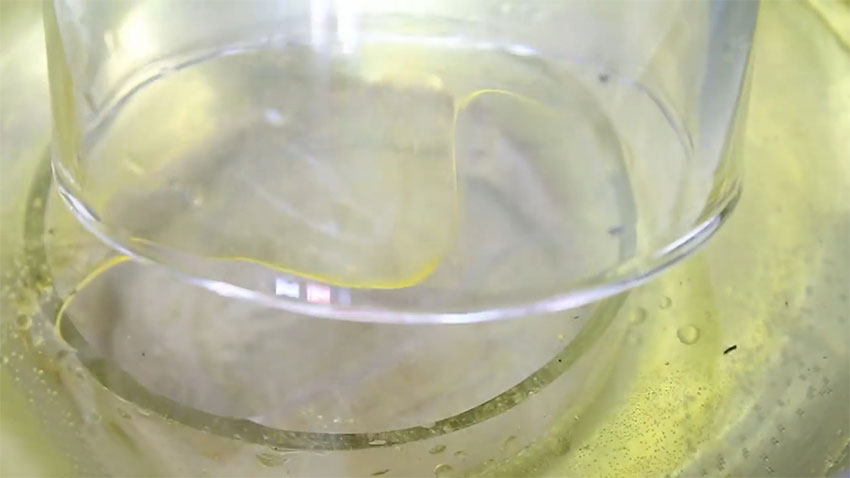 بریدن بطری شیشه‌ای با استفاده از روغن (تصویر 21)