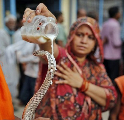 india-snake.jpg