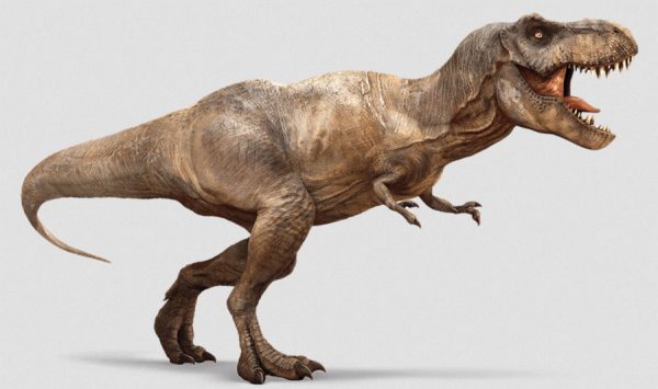 دیجی فکت: ۳۸ دانستنی معرکه درباره‌ی دایناسورها؛ گذری به 230 میلیون سال قبل