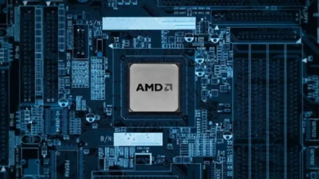 amd
