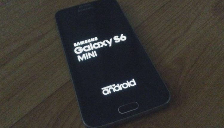 Samsung Galaxy S6 mini photos leak out
