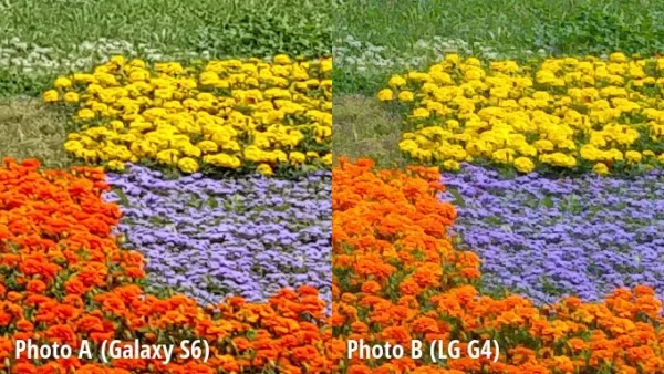galaxy s6 and lg g4
