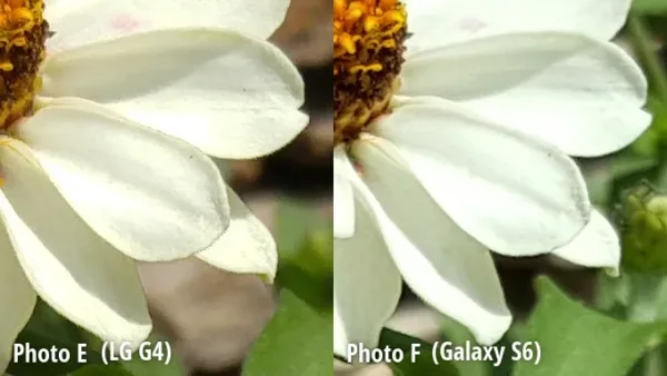 galaxy s6 and lg g4