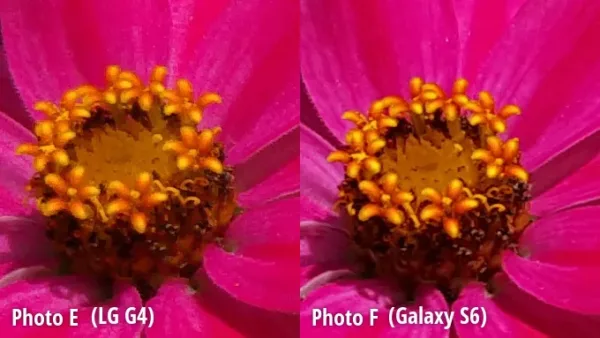 galaxy s6 and lg g4