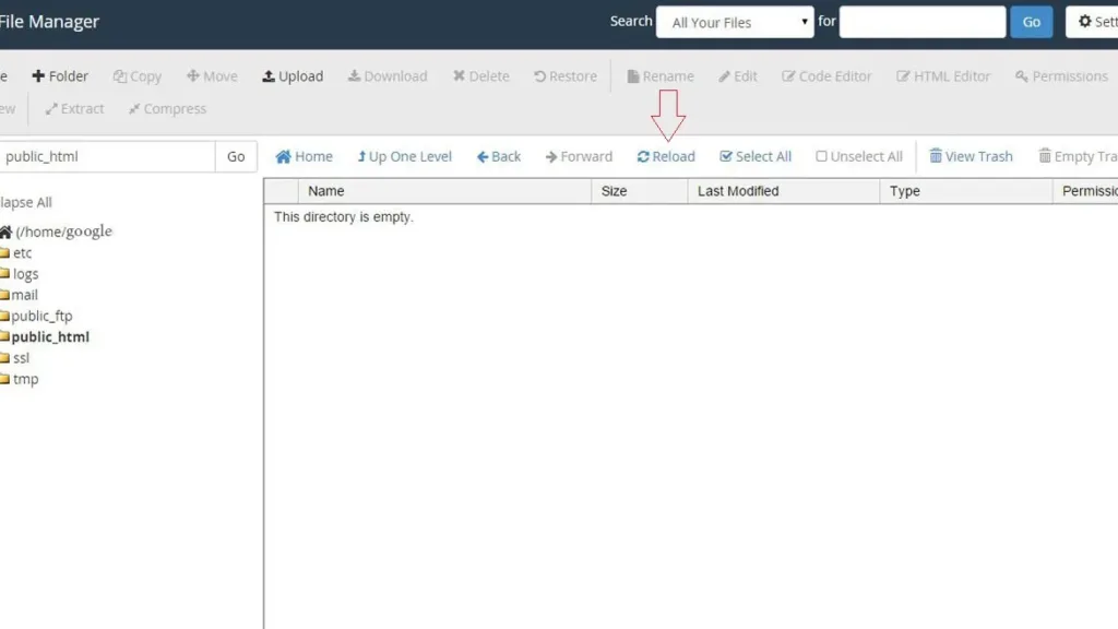 cpanel into 10