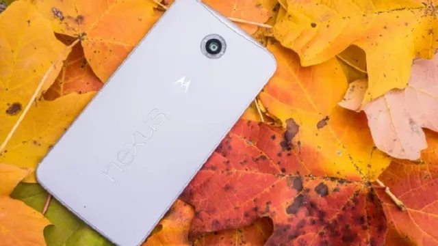 google nexus