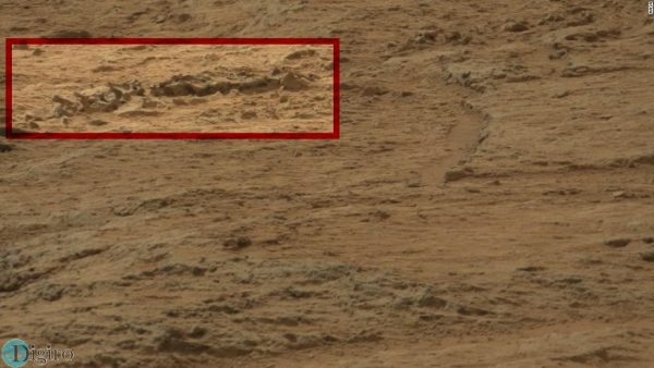 تصویر از ستون فقرات در مریخ