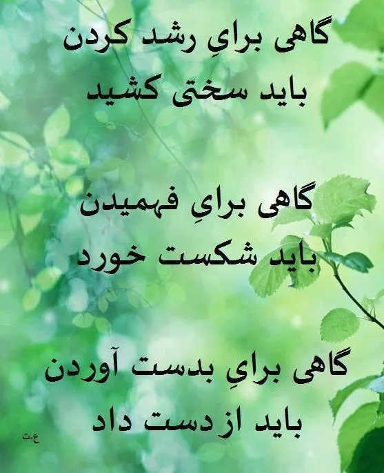 موفقیت درس گرفتن از شکست هاست
