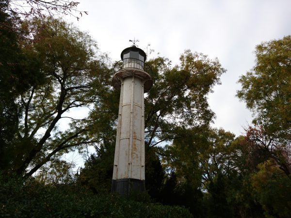 اکسپریا زد 5 پریمیوم