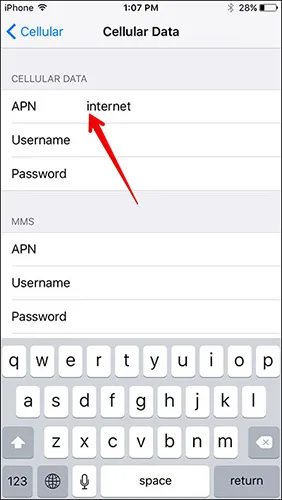 Enter-Cellular-Data-APN-in-iOS-9-on-iPhone