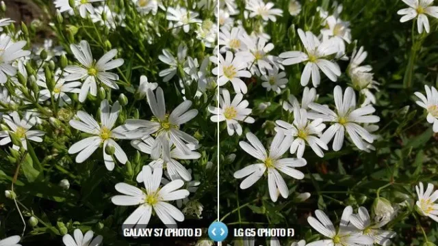 گلکسی S7 در کنار ال جی G5