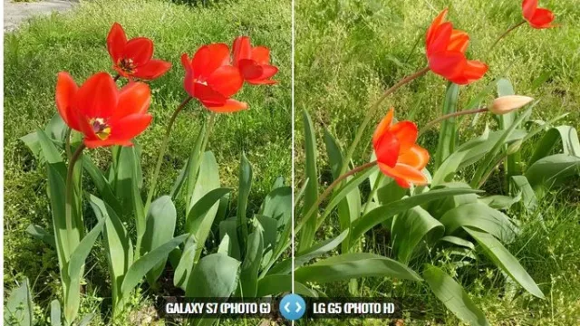 گلکسی S7 در کنار ال جی G5