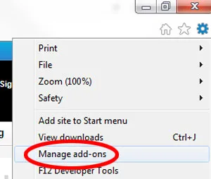 disable-flash-ie2