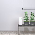 نگهداری و آبیاری خودکار گیاهان با سیستم آبیاری خودکار Gro.io