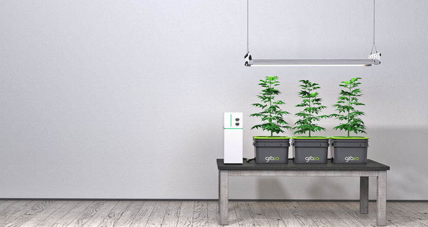 نگهداری و آبیاری خودکار گیاهان با سیستم آبیاری خودکار Gro.io