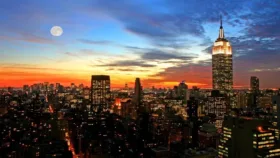 دانشمندان در فکر ساخت شهرهایی با استفاده از استخوان هستند