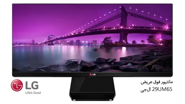 مانیتور فوق عریض 29UM65 ال‌جی