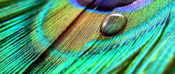 گوشی میزو ام ایکس 6