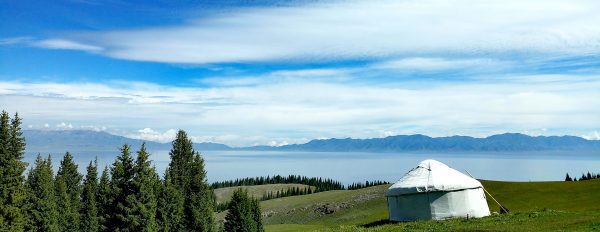 گوشی میزو ام ایکس 6