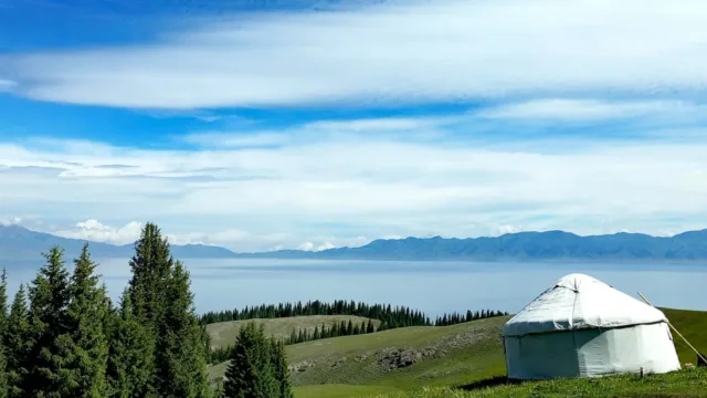 گوشی میزو ام ایکس 6