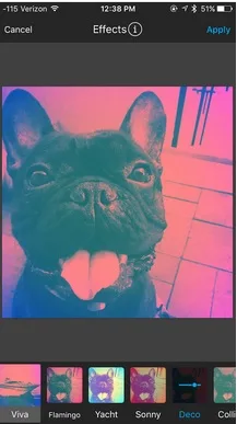 Photo Editor By Aviary