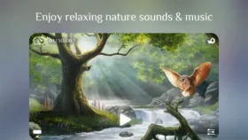 Flowing ~ Meditation & Mindfulness