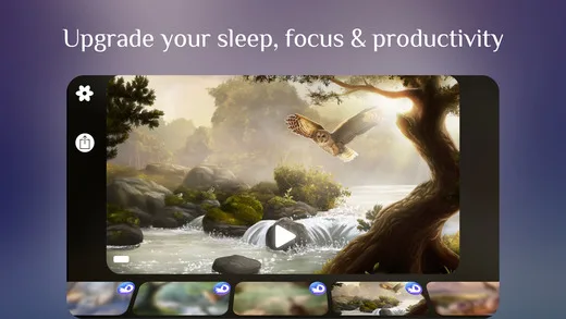 Flowing ~ Meditation & Mindfulness