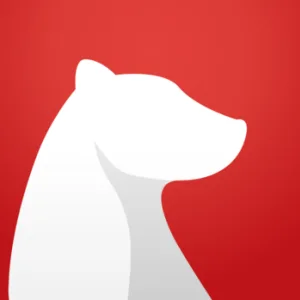 1-bear