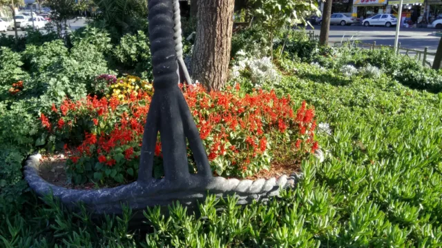دوربین ردمی پرو