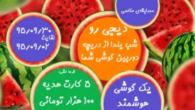 دیجی رو برگزار می‌کند؛ مسابقه‌ی عکاسی « شب یلدا از دریچه دوربین گوشی شما »