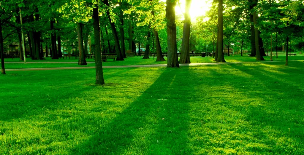دیجی قلم؛ تکنولوژی و تاثیر آن بر روی محیط زیست، نابودی یا نجات؟