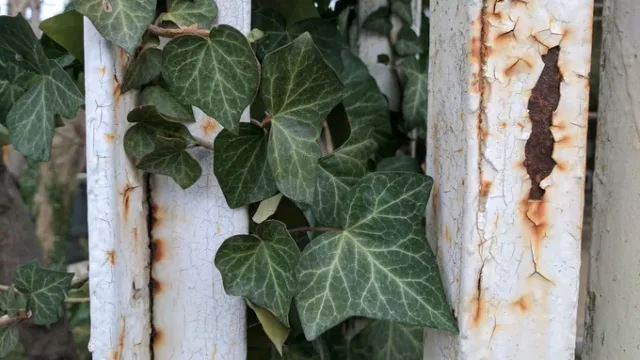 صحنه دوم گوگل پیکسل ایکس ال