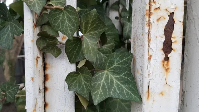 صحنه دوم گلکسی اس 7 اج