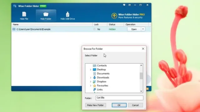 Wise Folder Hider: از اطلاعات شخصی خود در برابر چشمان کنجکاو دیگران مراقبت کنید