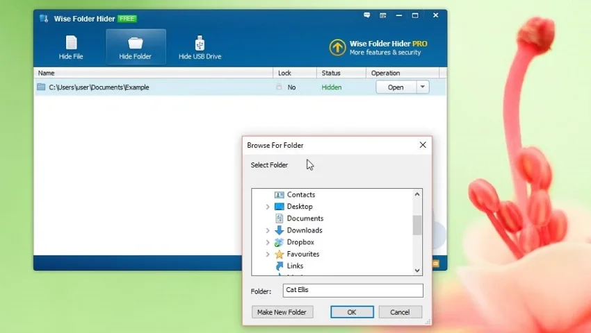 Wise Folder Hider: از اطلاعات شخصی خود در برابر چشمان کنجکاو دیگران مراقبت کنید