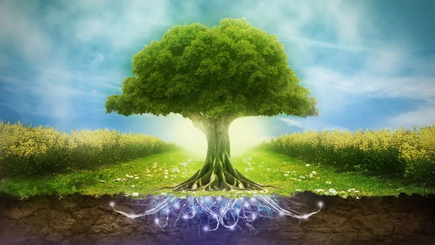 دیجی قلم؛ تکنولوژی و تاثیر آن بر روی محیط زیست، نابودی یا نجات؟