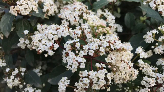 عکس آیفون 7 پلاس (تصویر 5)
