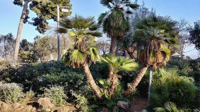 عکس ال جی جی 6 (تصویر 4)