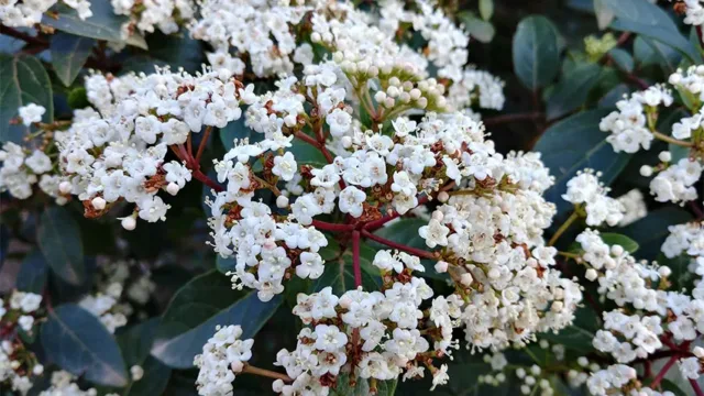 عکس ال جی جی 6 (تصویر 5)