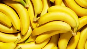 دیجی فکت؛ 10 حقیقت جالب در مورد موز