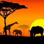 10 حقیقت جالب در مورد آفریقا