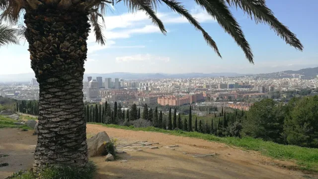 هواوی پی 10