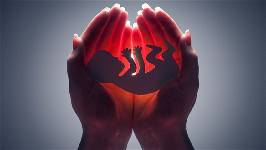 دیجی فکت: ۲۷ دانستنی درباره‌ی سقط جنین، از تلخی تا حقیقت!