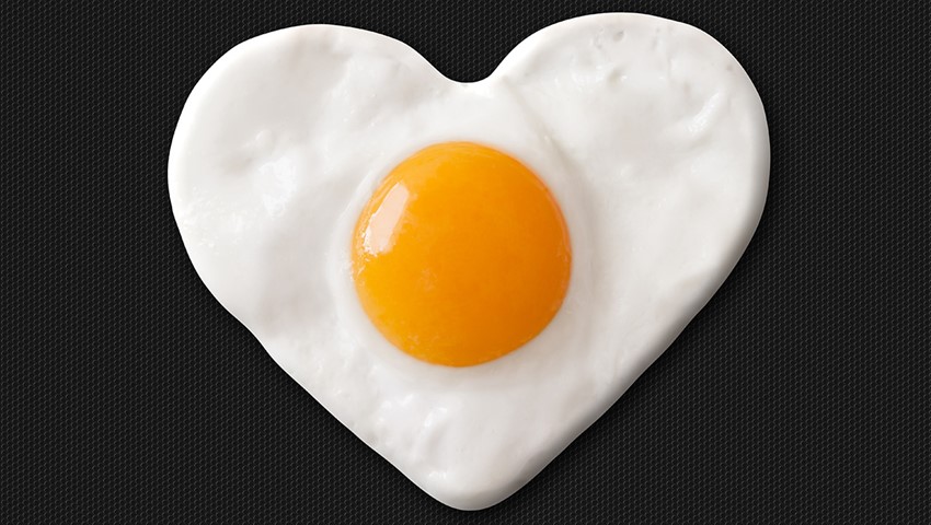 دیجی فکت:۱۳ دانستنی درباره ی تخم مرغ که برایتان جالب خواهد بود!