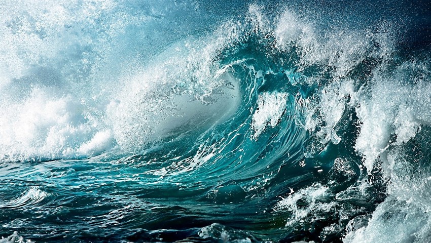 دیجی فکت:۱۶ دانستنی درباره‌ی دریاها و اقیانوس‌ها