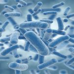 دیجی فکت:22 دانستنی درباره‌ی باکتری‌ها