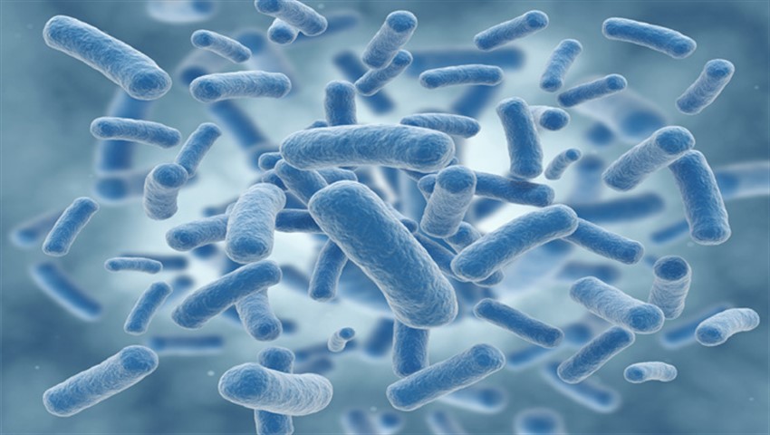 دیجی فکت:22 دانستنی درباره‌ی باکتری‌ها